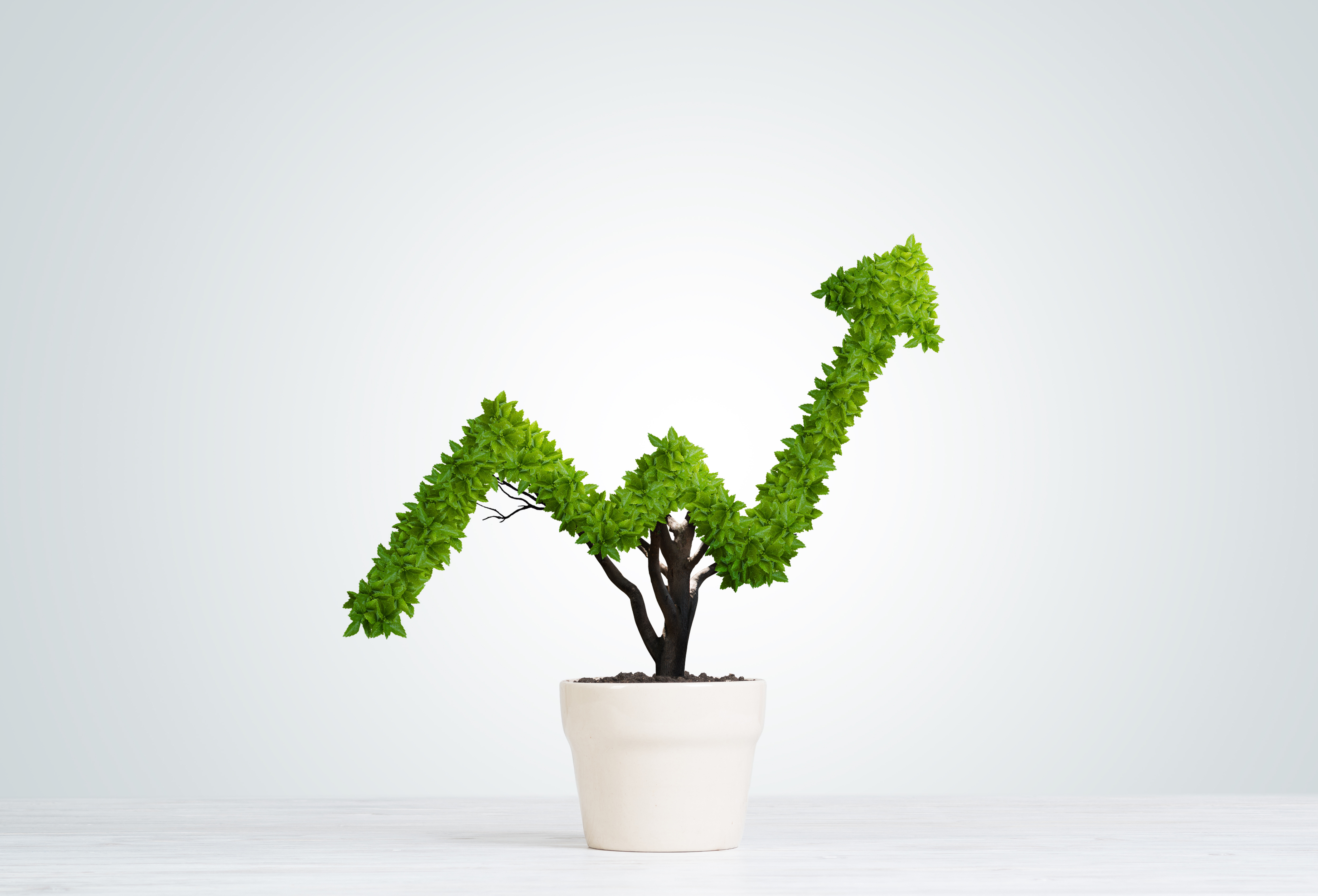 Basics Of Investing – Key Financial Terms And Concepts